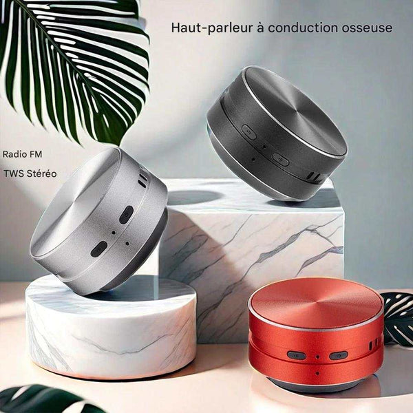 haut-parleur Bluetooth compact - Beconnectlt